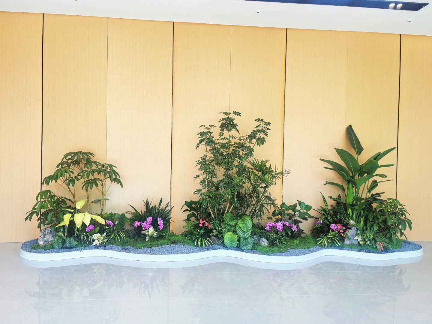 余姚植物租摆，让家居绿植布置变得超简单